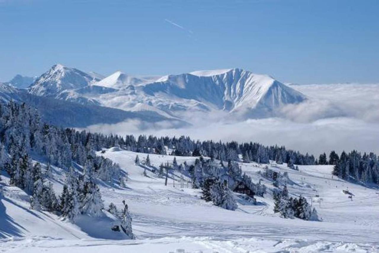Charmant Studio Cabine Cocoon A 100 M Des Pistes Chamrousse Exterior photo